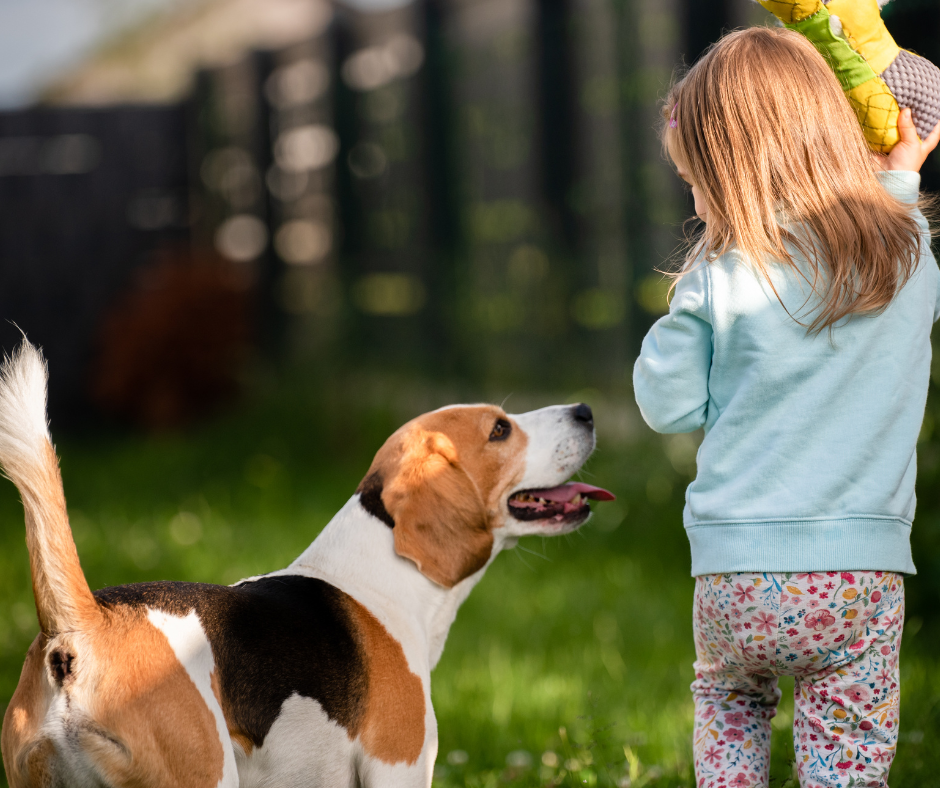 Evite acidentes! Como manter seu portão automático seguro para crianças e pets